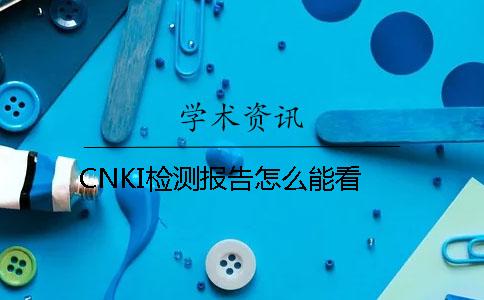 CNKI檢測報告怎么能看
