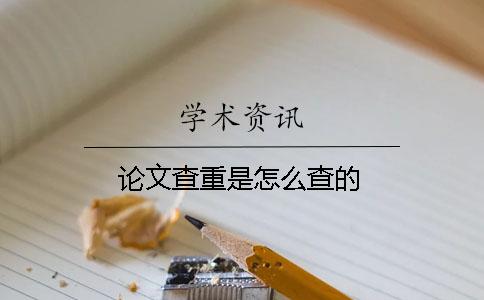 論文查重是怎么查的