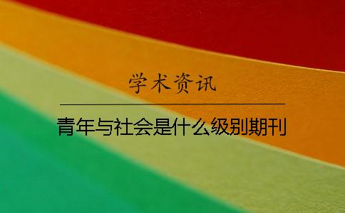 青年與社會(huì )是什么級別期刊
