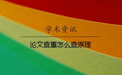 論文查重怎么查原理