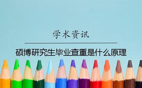 碩博研究生畢業(yè)查重是什么原理