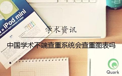 中國學(xué)術(shù)不端查重系統會(huì )查重圖表嗎？