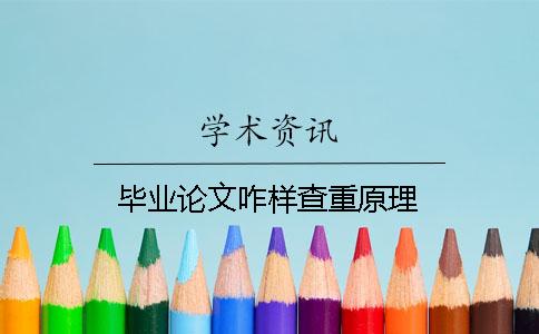 畢業(yè)論文咋樣查重原理